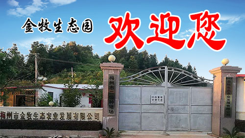 梅州大米，豬肉，蔬菜批發(fā)選梅州市金牧生態(tài)農(nóng)業(yè)發(fā)展有限公司