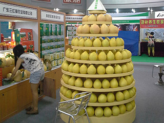 梅州柚子批發(fā)，梅州三紅蜜柚選廣東三紅柚農(nóng)業(yè)有限公司