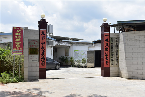 興寧市國(guó)鋒桑葉茶有限公司