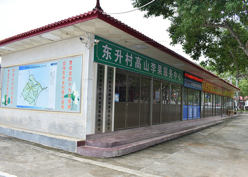 徑南李果優(yōu)選興寧順景種養(yǎng)專(zhuān)業(yè)合作社